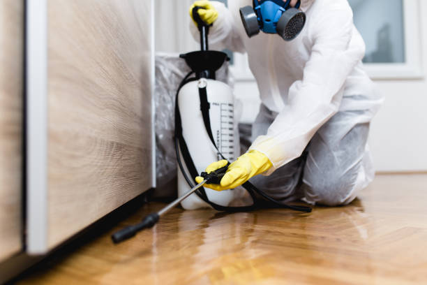 Best Local Pest Control Services  in Taunton, MA