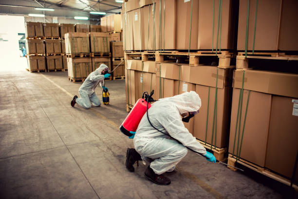 Best Cockroach Control Services  in Taunton, MA