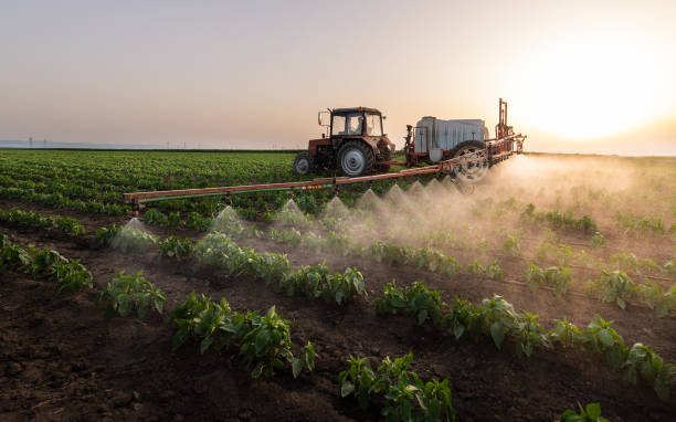 Best Mosquito Control Services  in Taunton, MA