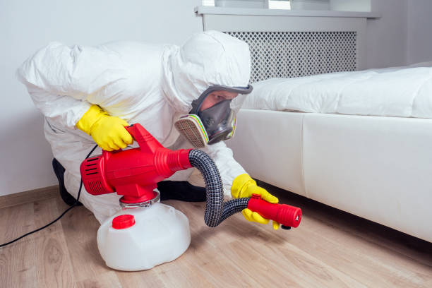 Best Wasp Removal Services  in Taunton, MA