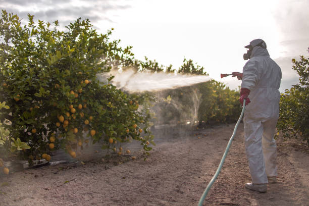 Best Pest Prevention Services  in Taunton, MA
