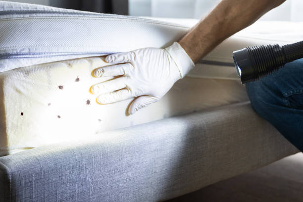 Best Pest Control for Restaurants  in Taunton, MA