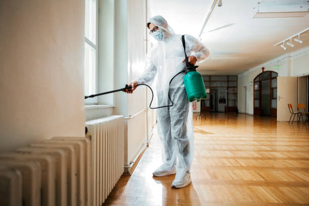 Reliable Taunton, MA Pest Control Solutions